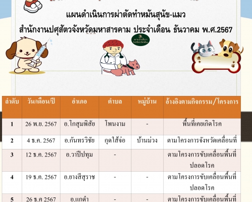 แผนดำเนินการผ่าตัดทำหมันสุนัช-แมว ประจำเดือนธันวาคม 67